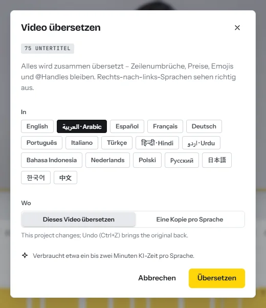 Der Dialog „Video übersetzen“: die Zahl der gefundenen Untertitel, siebzehn Zielsprachen und die Wahl zwischen „Dieses Video übersetzen“ und einer Kopie pro Sprache
