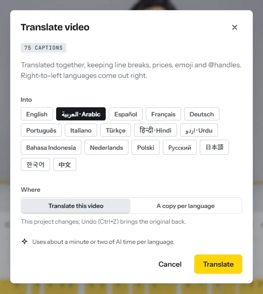 The Translate video dialog: the number of captions found, seventeen target languages, and a choice between translating this video and making a copy per language