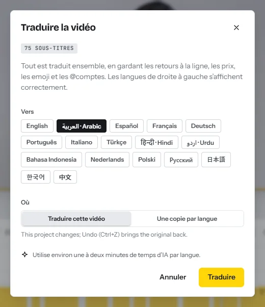 La fenêtre Traduire la vidéo : le nombre de sous-titres trouvés, dix-sept langues cibles et le choix entre traduire cette vidéo et créer une copie par langue